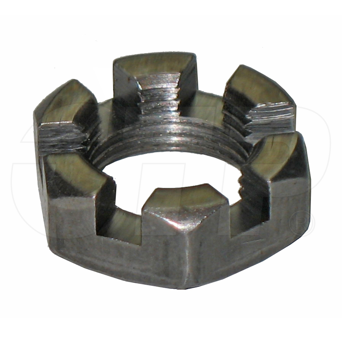 6F7063 Nut