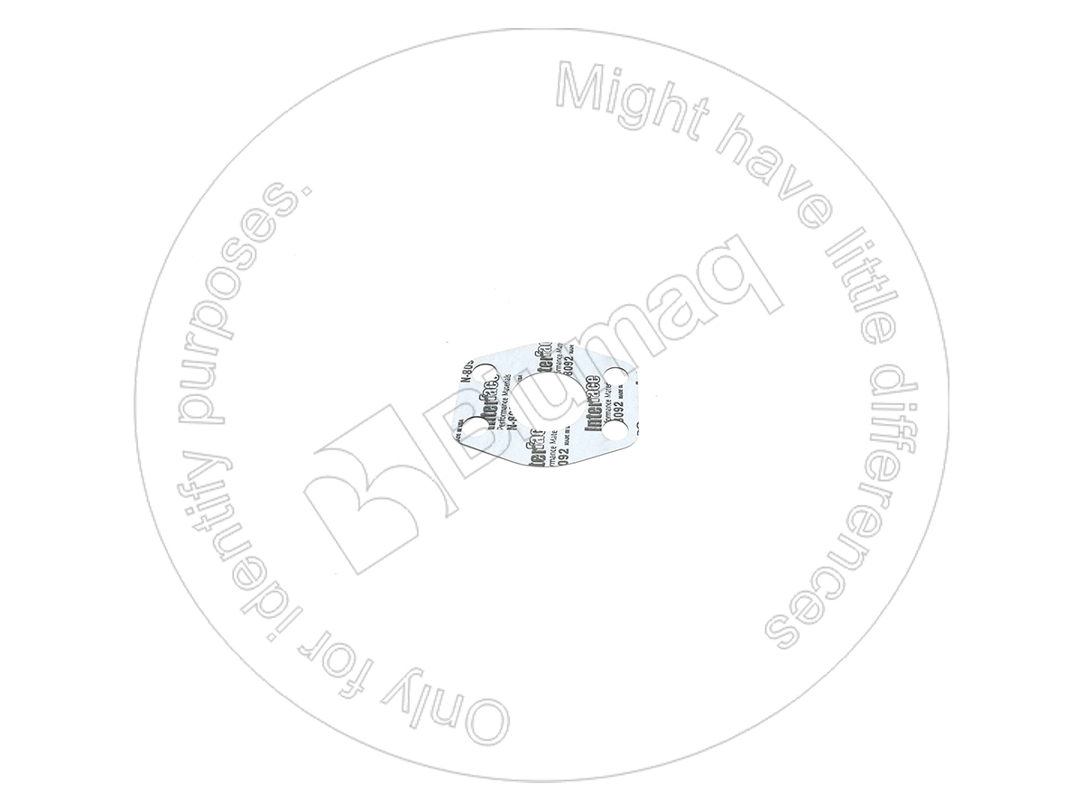 2D-0093 Gasket