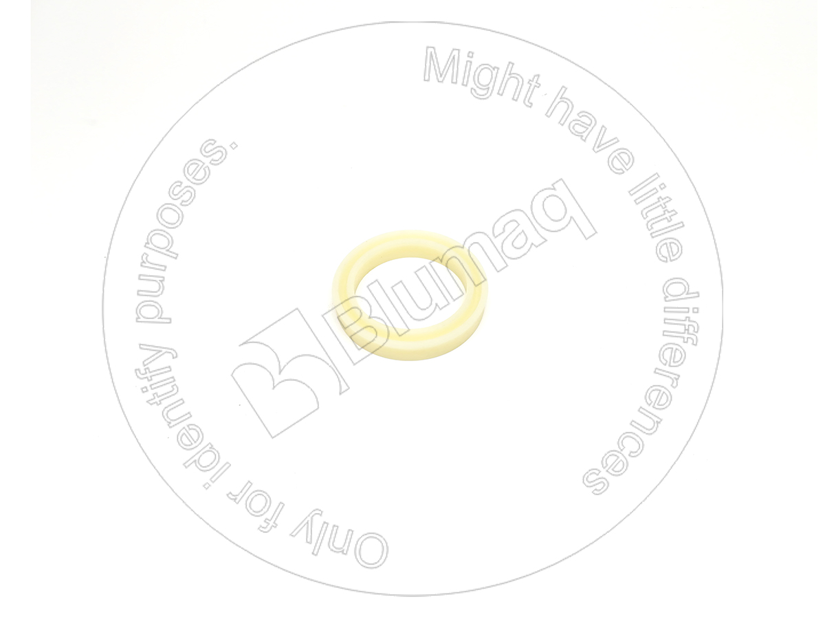 1P-4879 Seal for BLUMAQ