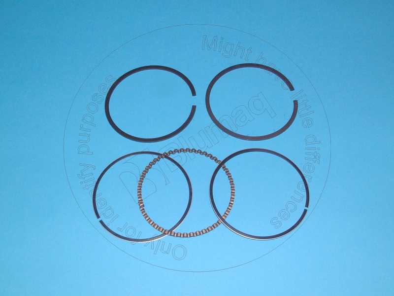 105-9236 Piston Ring Kit for BLUMAQ