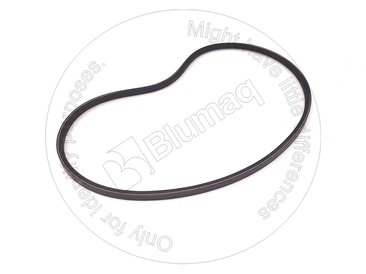 098-2490 Belt for BLUMAQ
