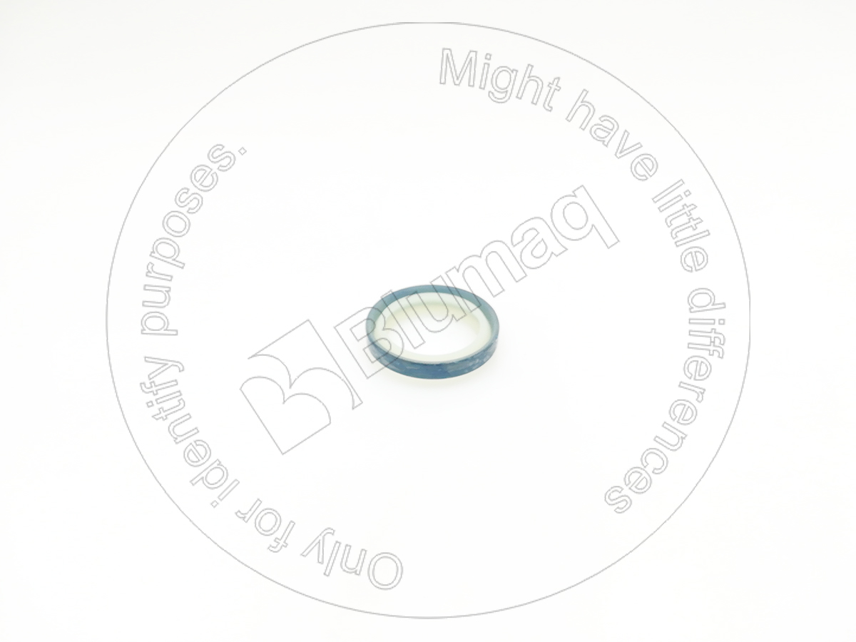 101-61-16170 Dust Seal
