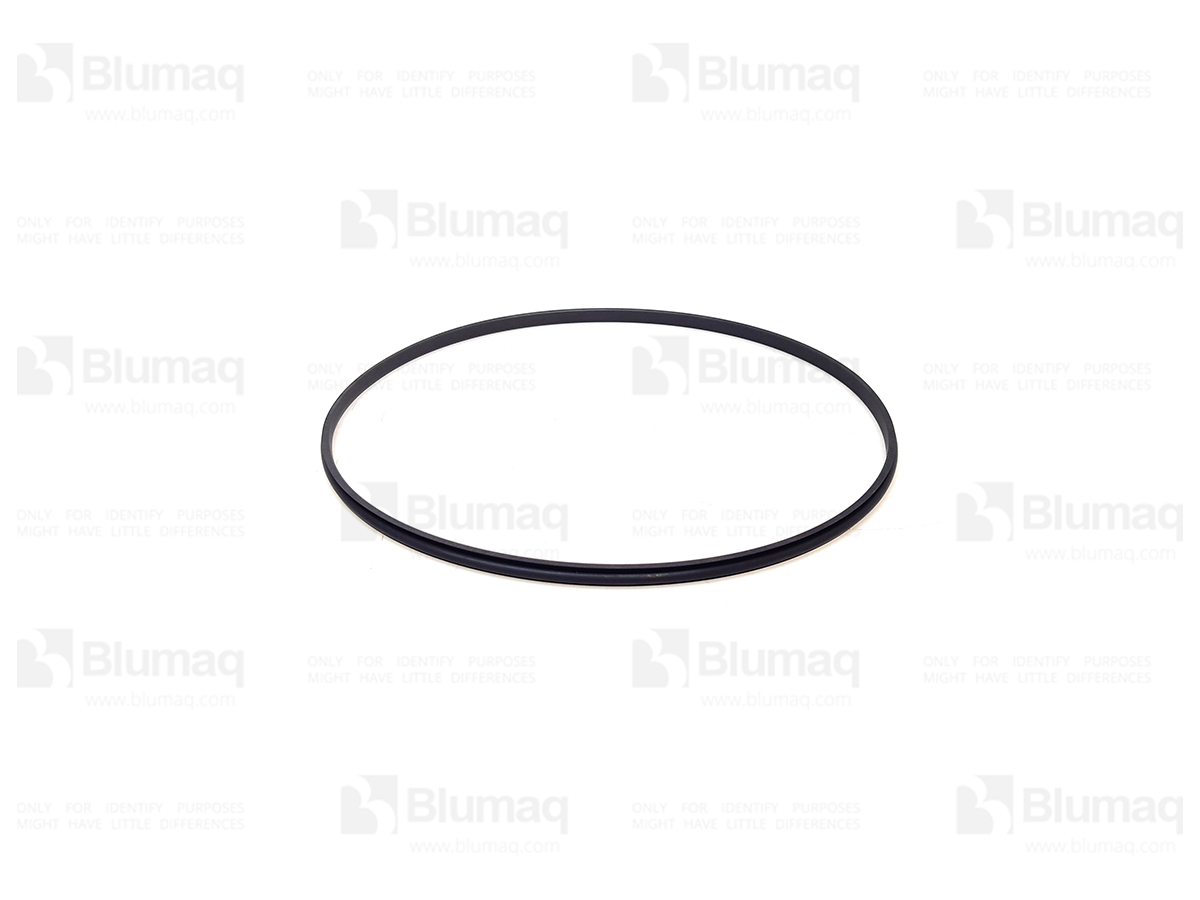 JD0171349241 Seal for BLUMAQ