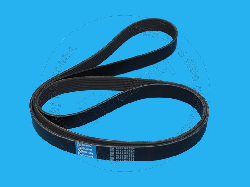 312-8934 Belt for BLUMAQ
