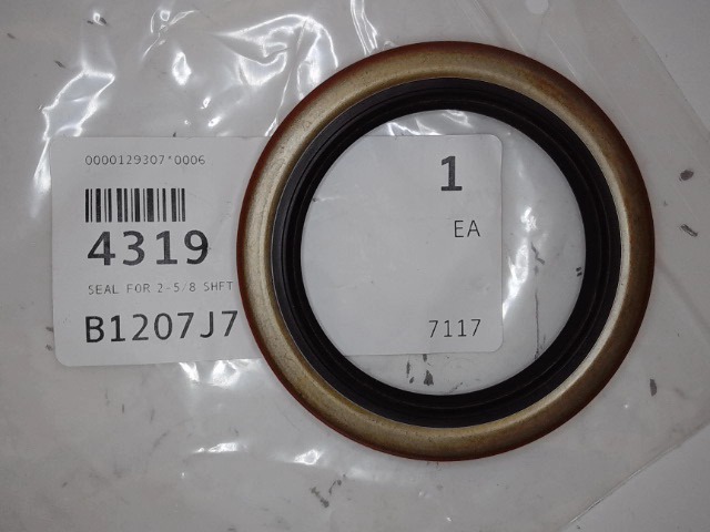 4319 Seal for WOODS
