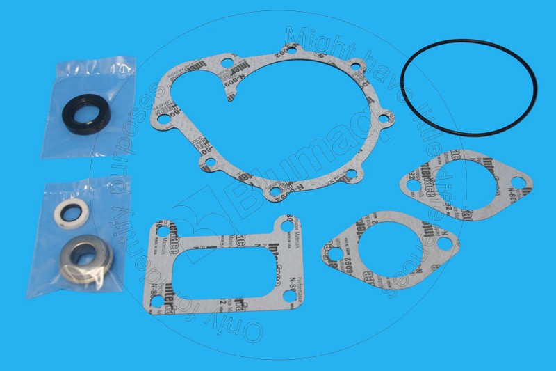 6151-K6-1200 Gasket Kit for BLUMAQ