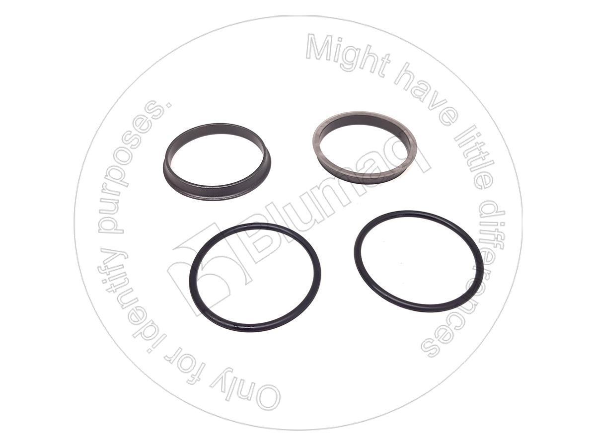 52001105 Seal Gp. Duo-cone for BLUMAQ