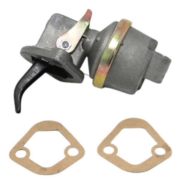 CS87319987 Feeding Pump
