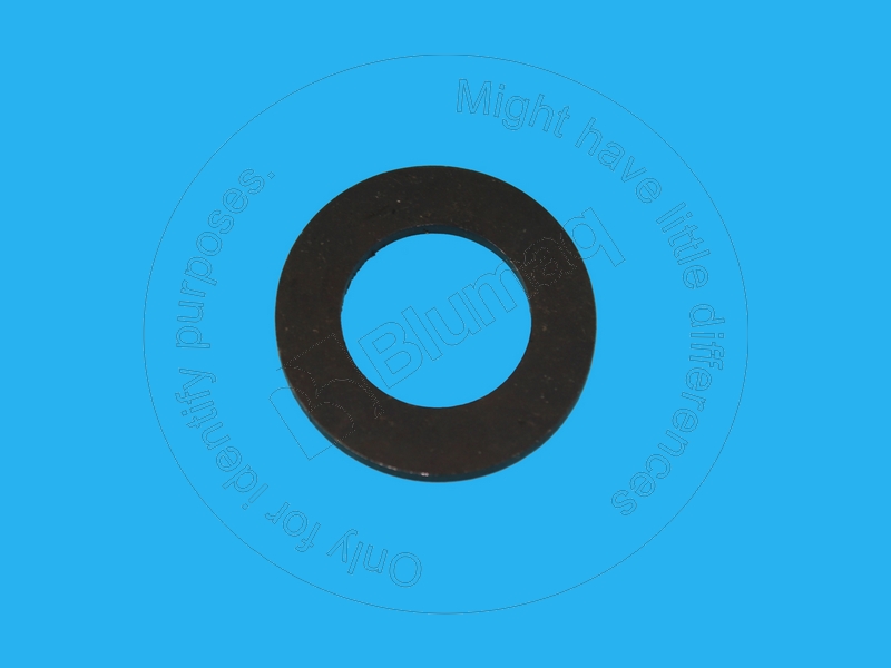 JC445/19808 Thrust Washer for BLUMAQ