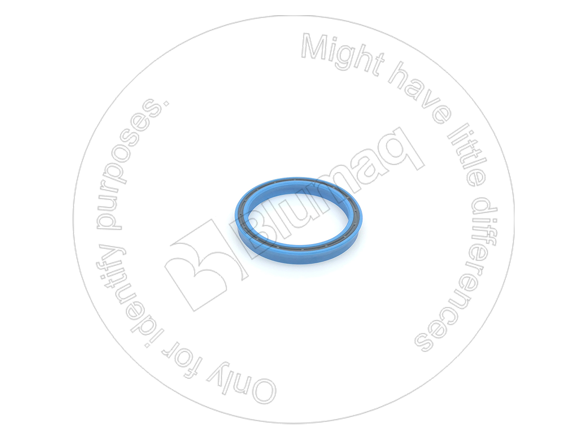 3G-3752 Seal for BLUMAQ