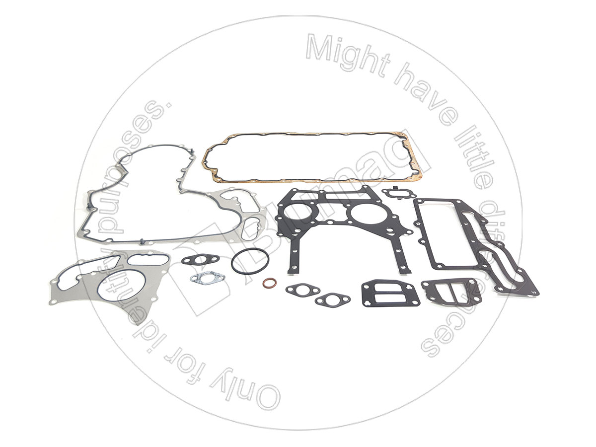 272-0494 Gasket Kit for BLUMAQ