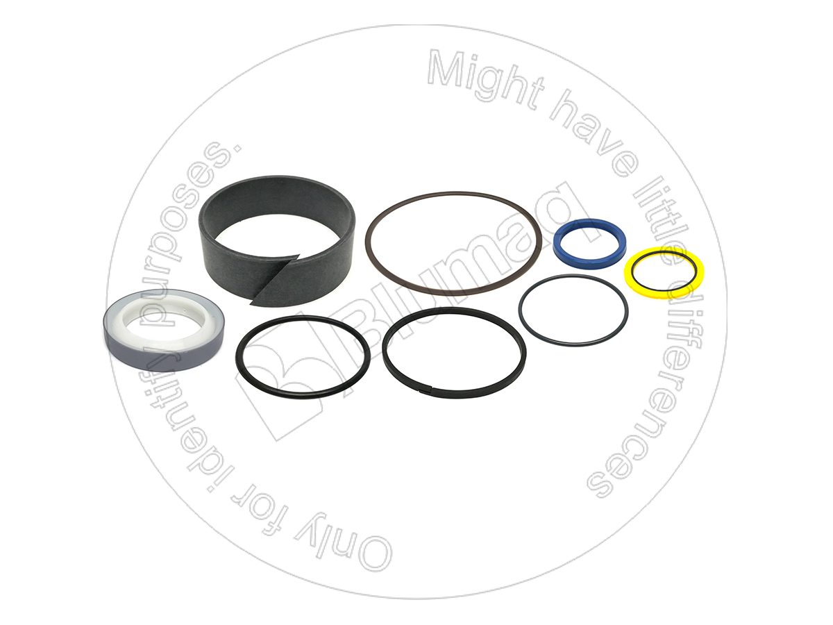 240-1661 Hydraulic Seal Kit for BLUMAQ