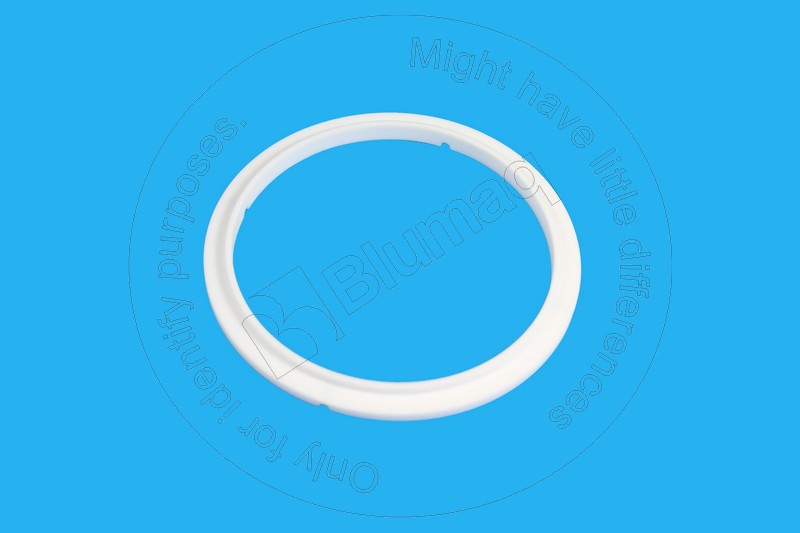 2G-8777 Seal for BLUMAQ