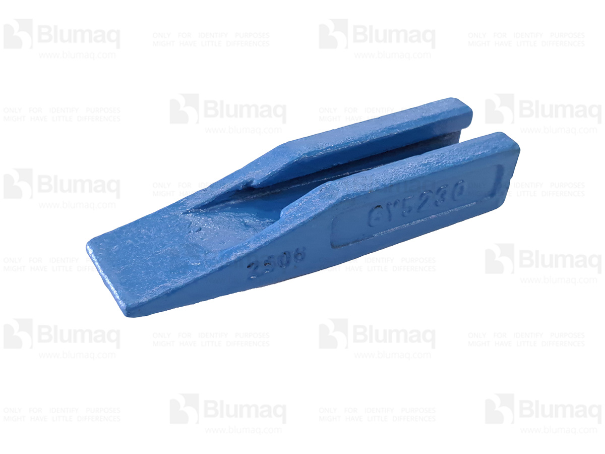 2D-5572 Tooth