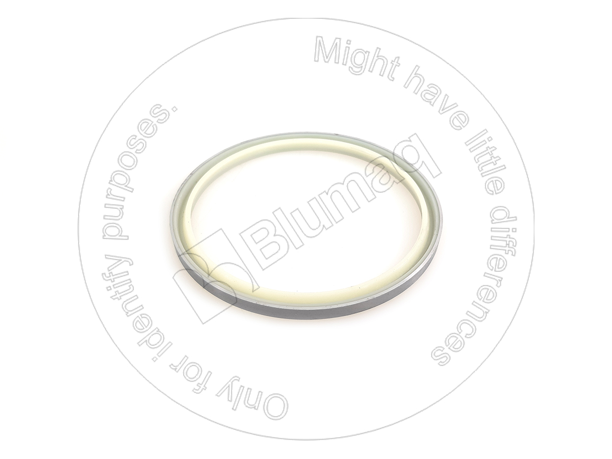 VO9561-10010 Dust Seal for BLUMAQ