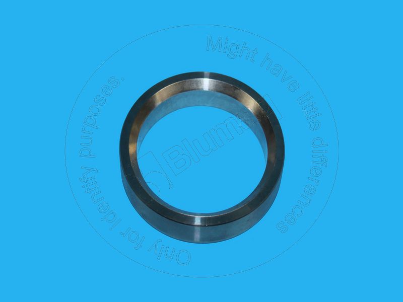 8M-9810 Valve Seat for BLUMAQ
