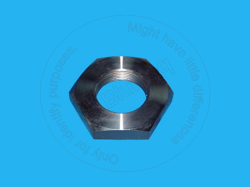 6V-0530 Nut
