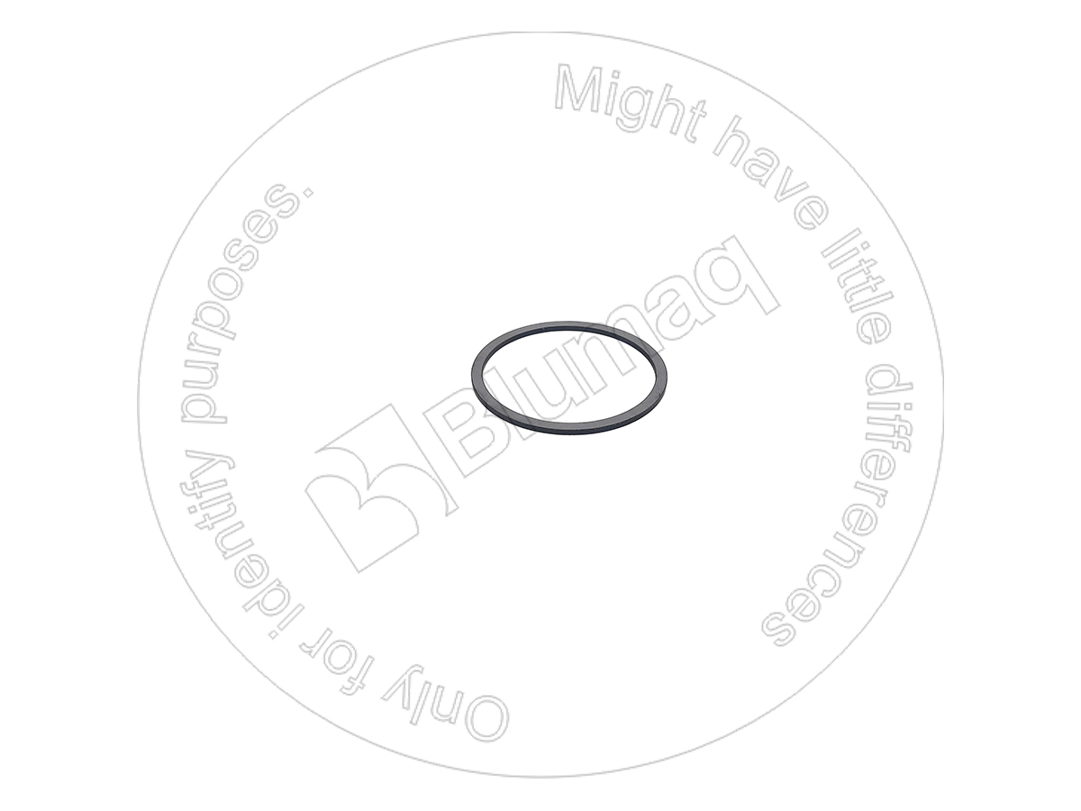 CS9968261 Shim
