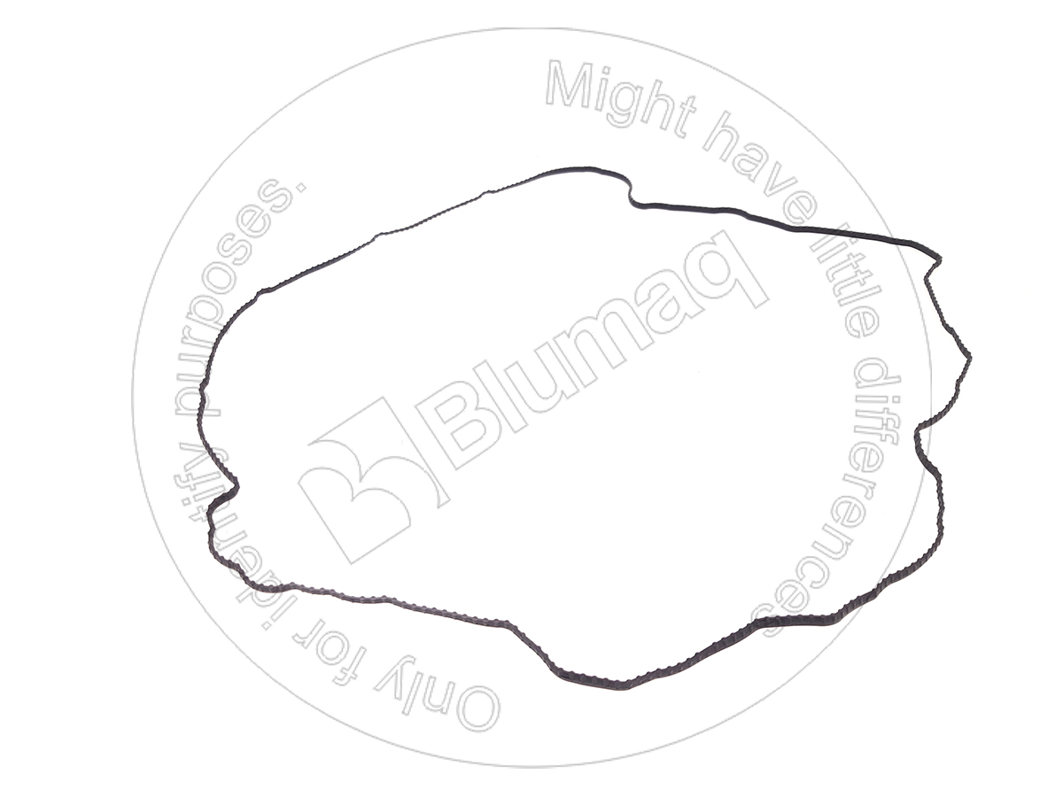 71-18169-00 Gasket for BLUMAQ