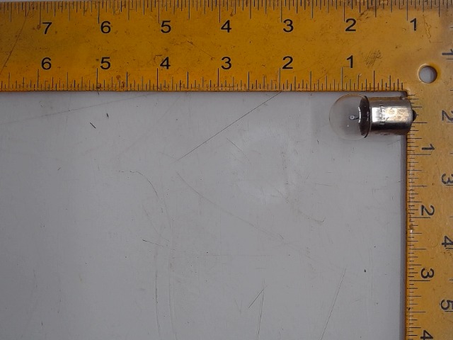 P40556 Bulb