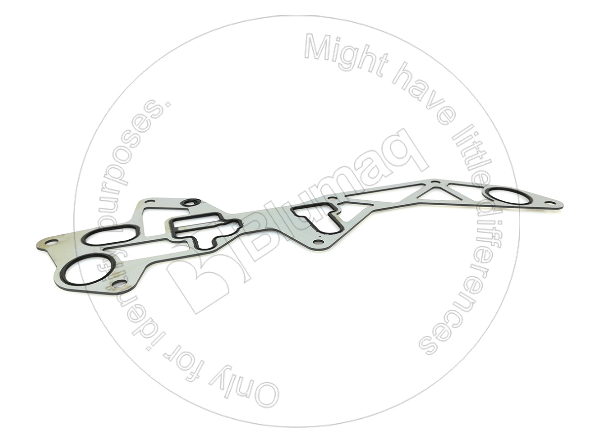 038.027 Gasket for BLUMAQ