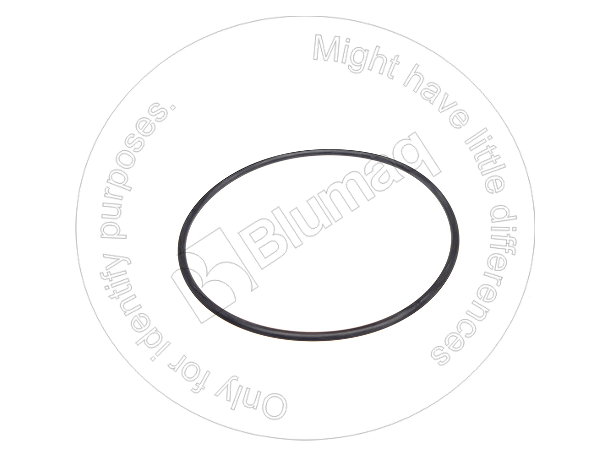 07000-42105 Seal O-ring for BLUMAQ