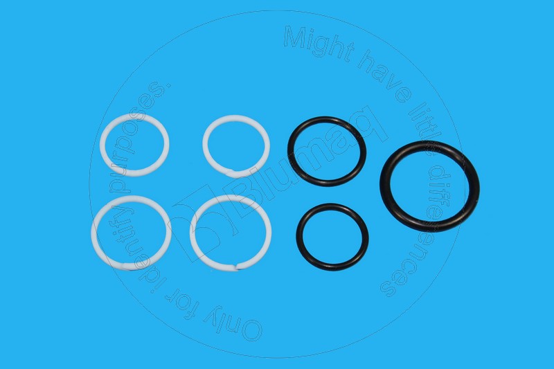 VOE11706069 Hydraulic Seal Kit for VOLVO