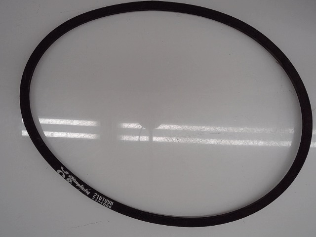 2161098 Belt for AGCO