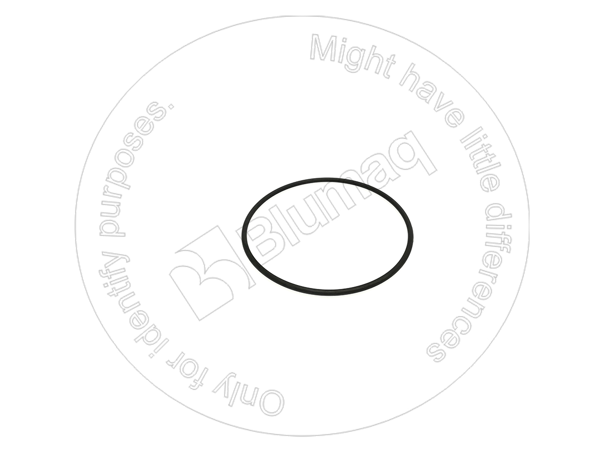 DG60K40408 Seal O-ring for BLUMAQ