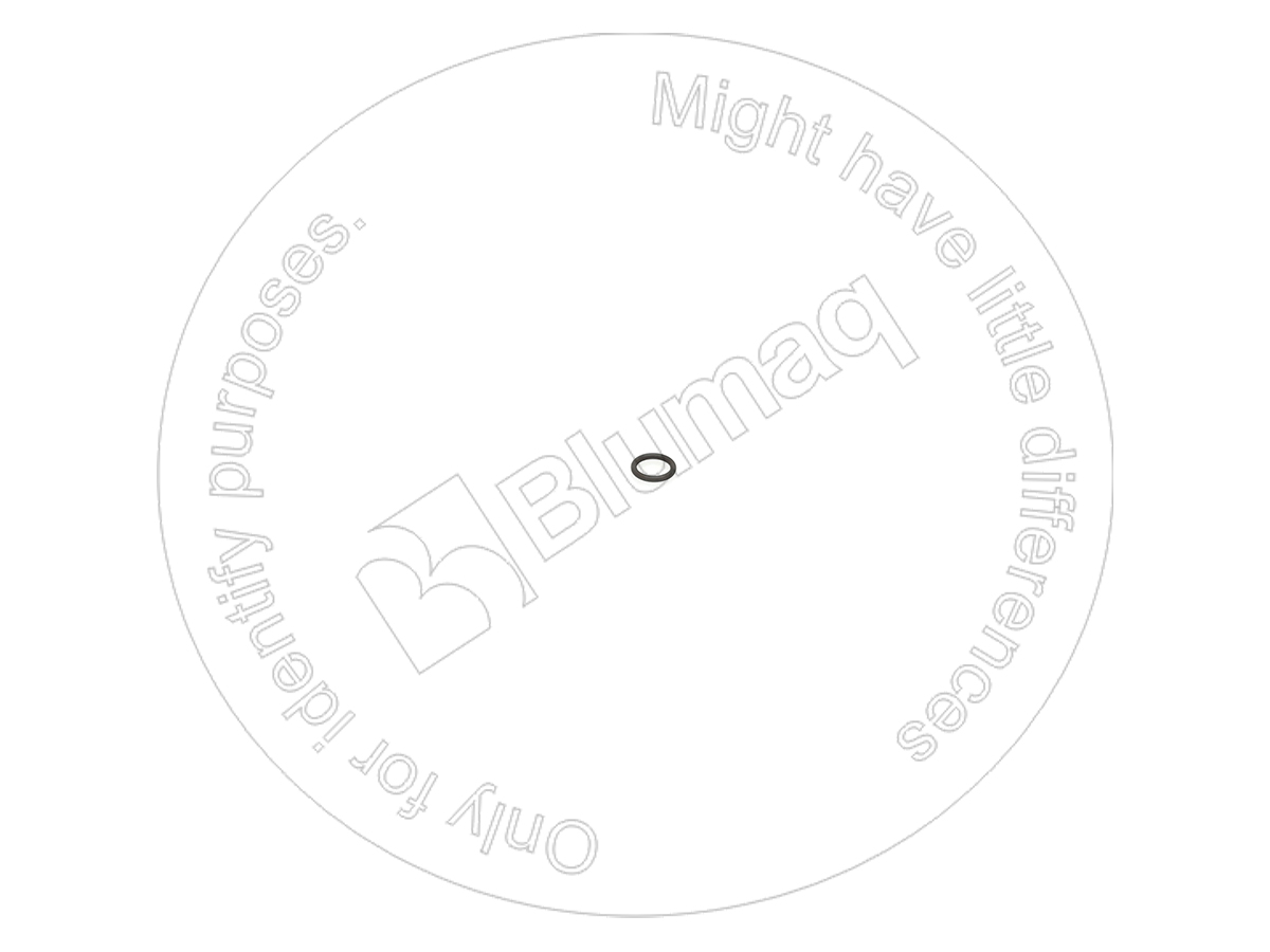 6V-5048 Seal O-ring for BLUMAQ