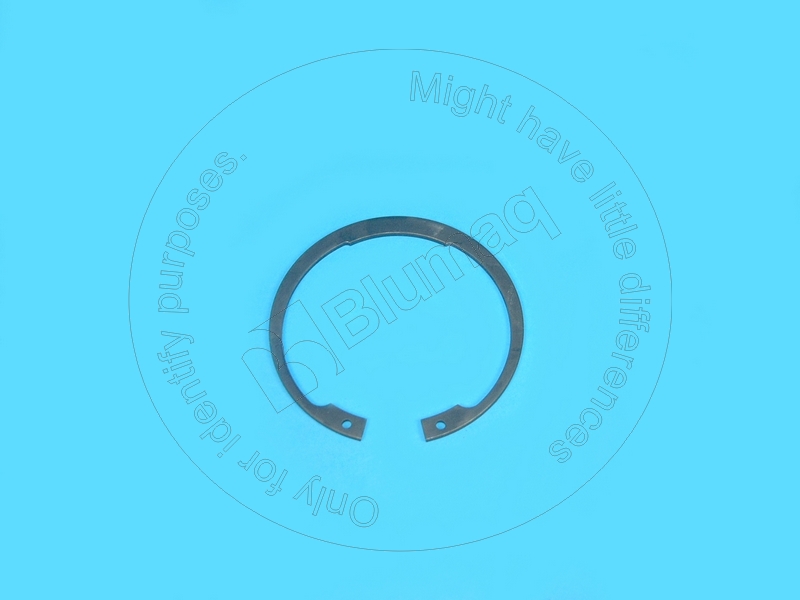 079-1085 Ring