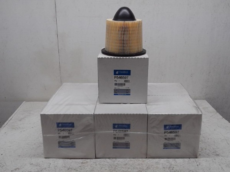 P546597 AGCO Air Filter