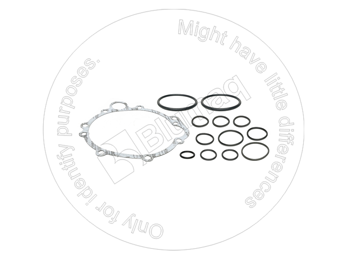 8C-6536 BLUMAQ Gasket Kit