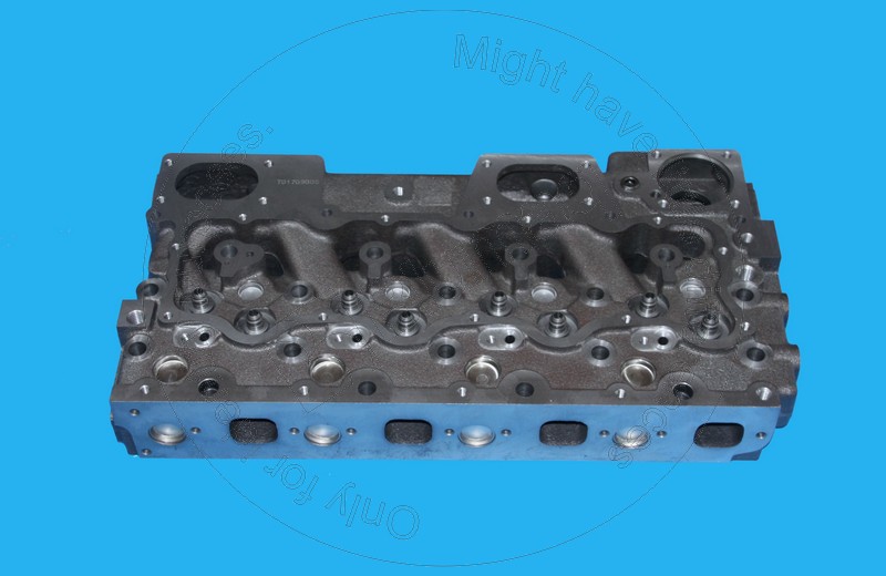 1N-4304 Bare Cylinder Head for BLUMAQ
