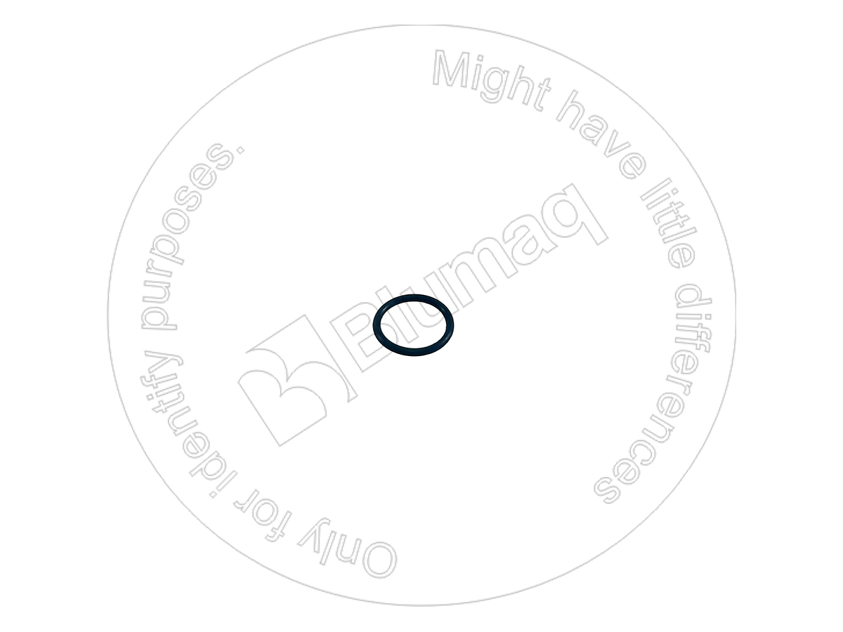 CS102459A1 CASE Seal O-ring