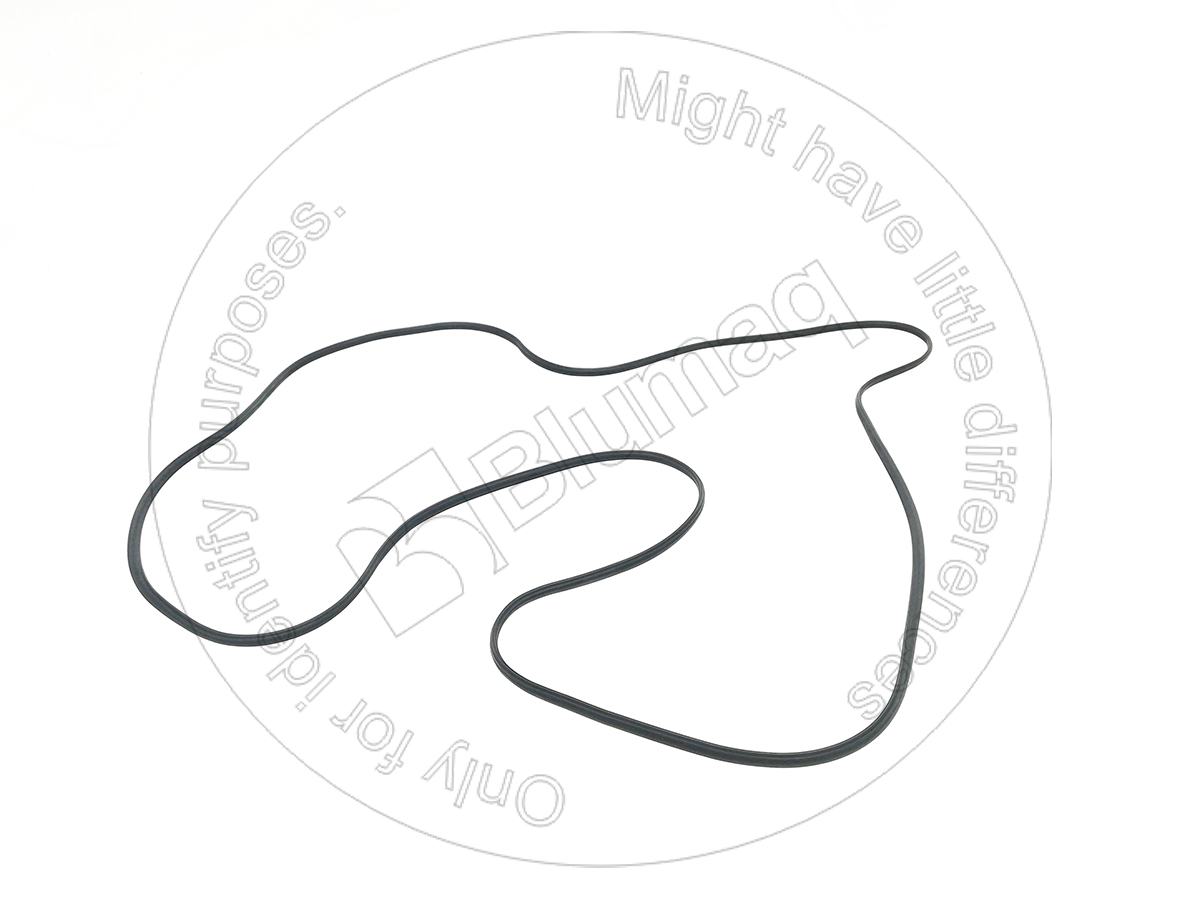272-0389 Seal for BLUMAQ