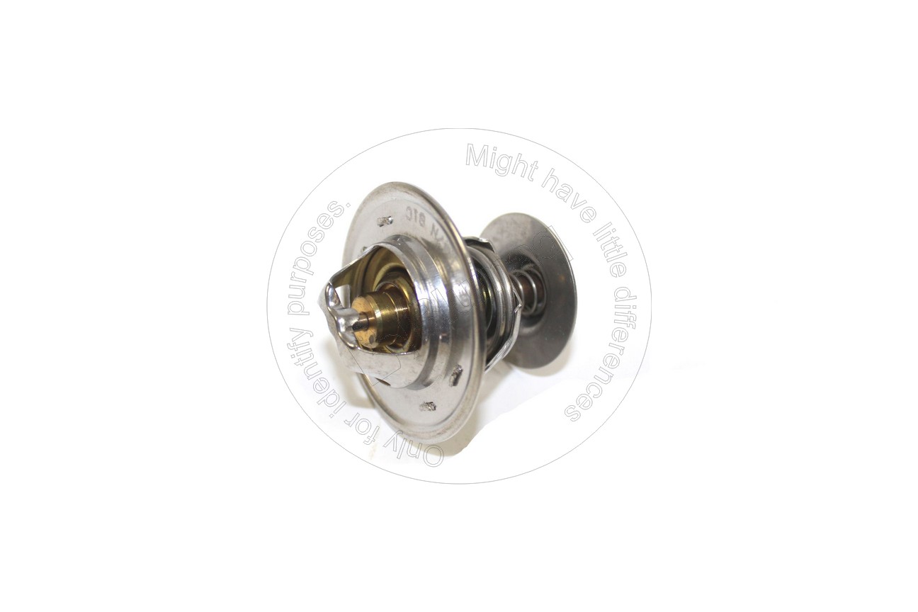 901.00573 Thermostat for BLUMAQ