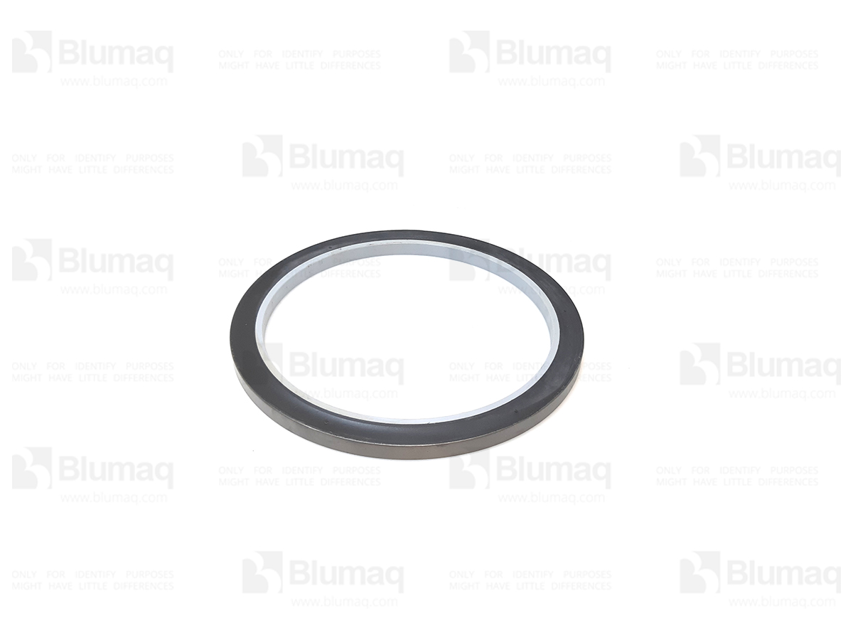 9X-4584 Seal for BLUMAQ