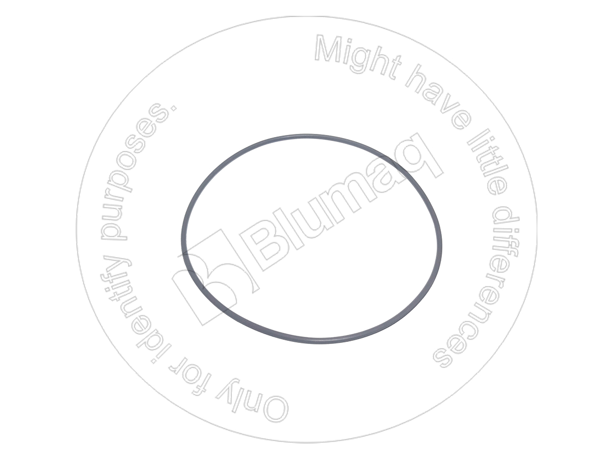 900.01826 Seal O-ring for BLUMAQ