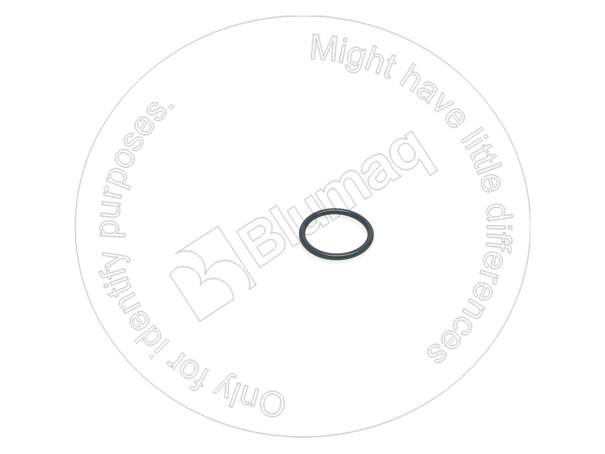 4J-0520 Seal O-ring for BLUMAQ