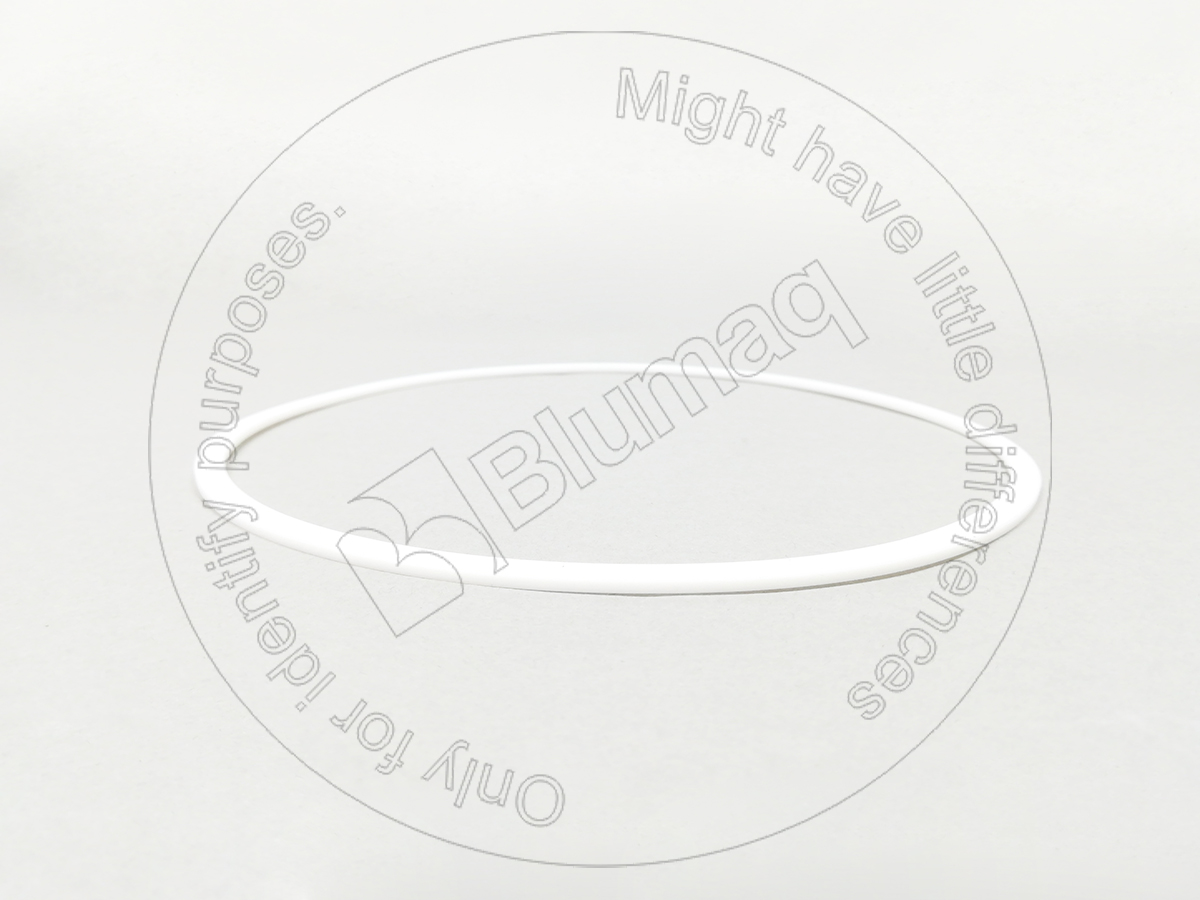 SX9566-41450 Back-up Ring for BLUMAQ