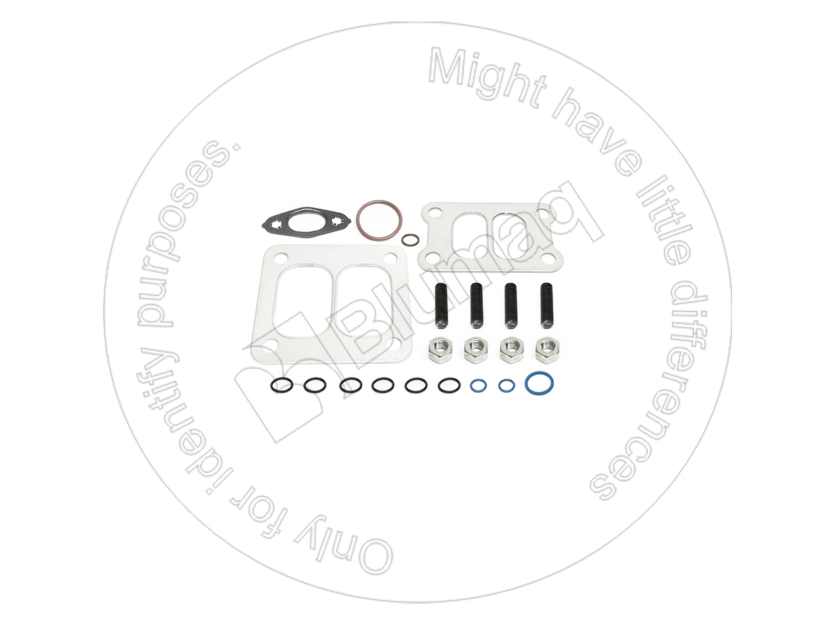 305-0794 Gasket Kit for BLUMAQ