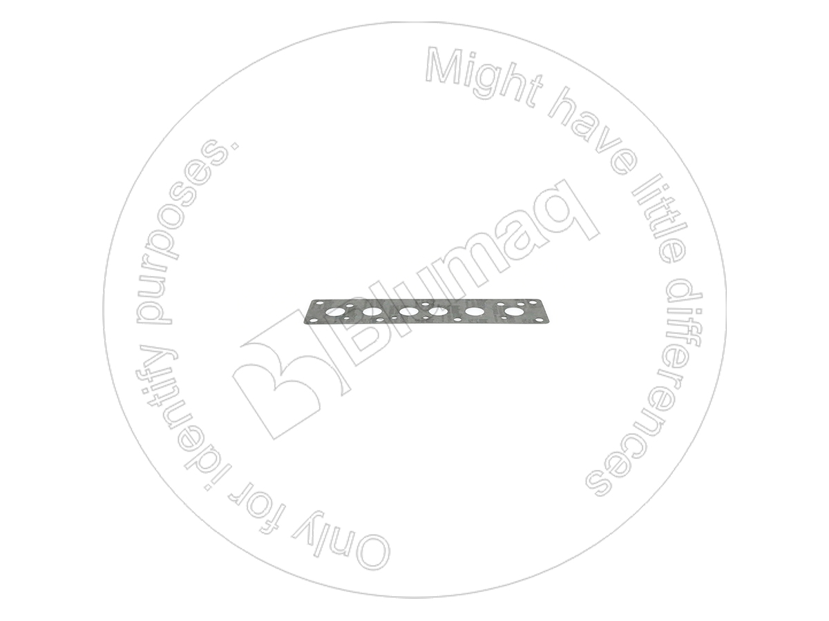 VO11036020 Gasket for BLUMAQ