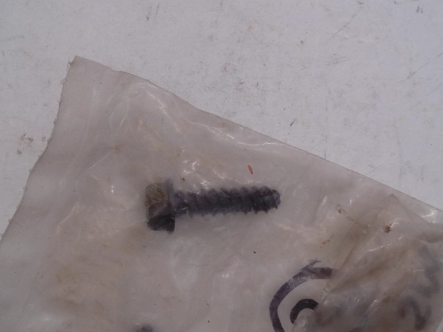 1960106 Screw for AGCO