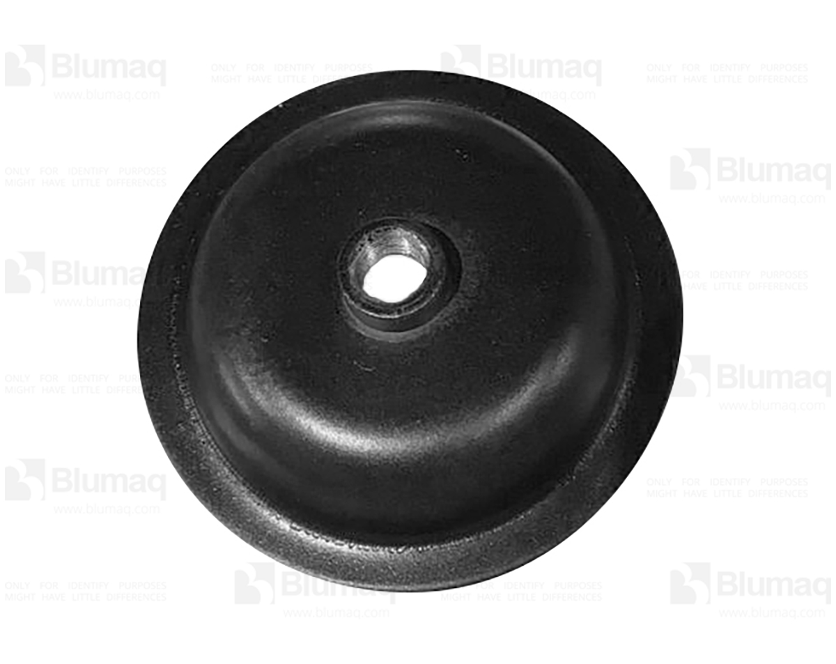 245-5705 BLUMAQ Cover