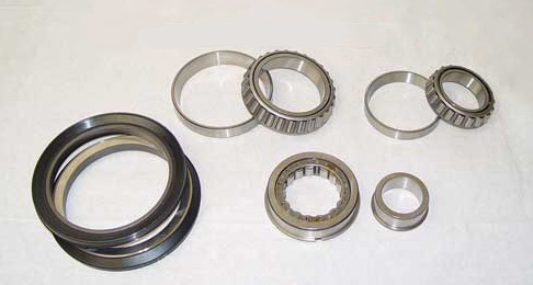 PV703 CASE Bearing Kit