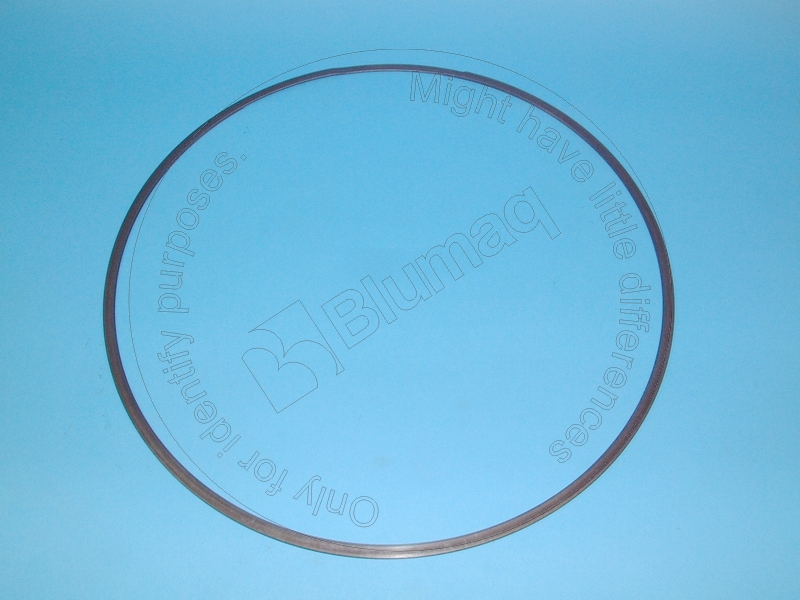 8E-2819 Ring for BLUMAQ