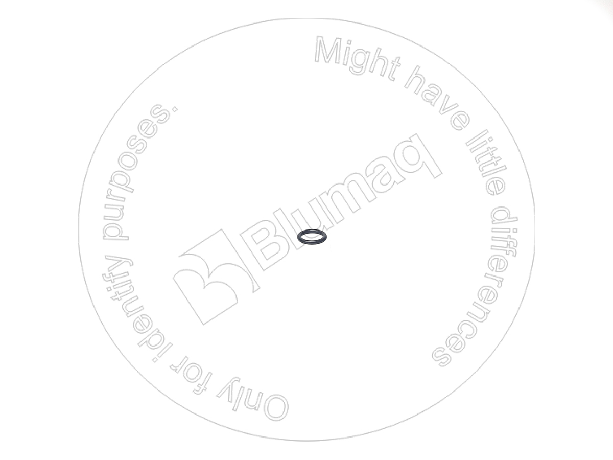 VOSA8230-22110 Seal O-ring for BLUMAQ