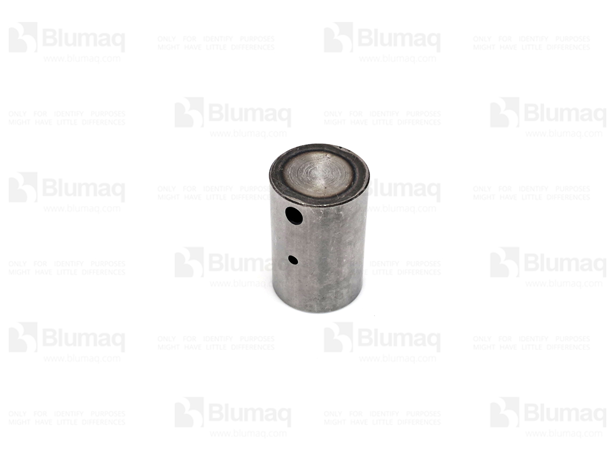 2S-4899 Planet Shaft for BLUMAQ