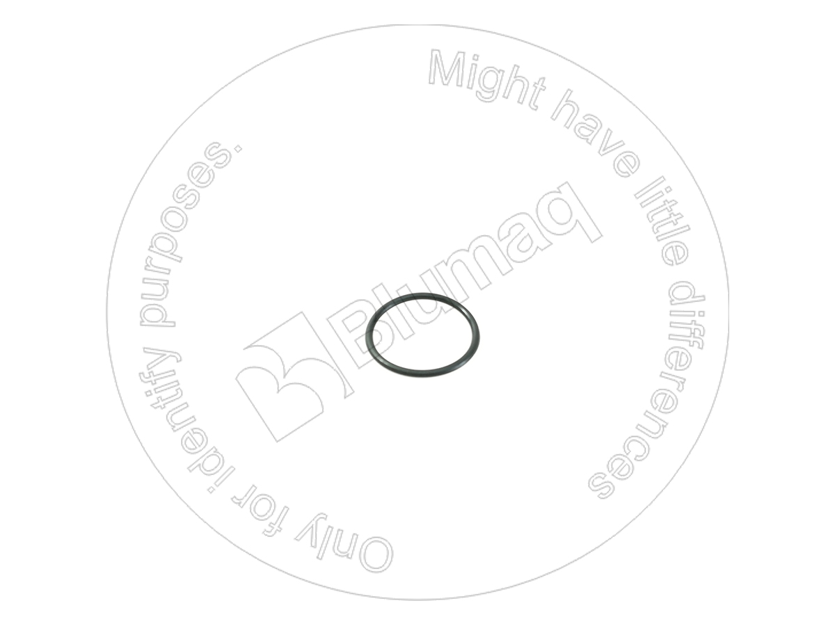 6210-11-7710 BLUMAQ Seal O-ring